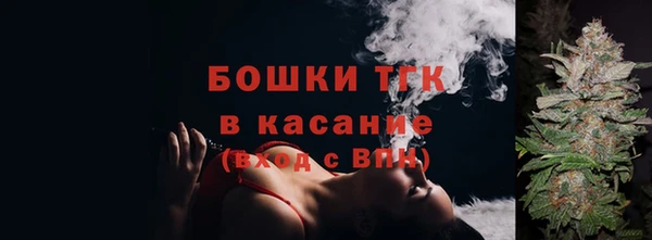 мдпв Каменка