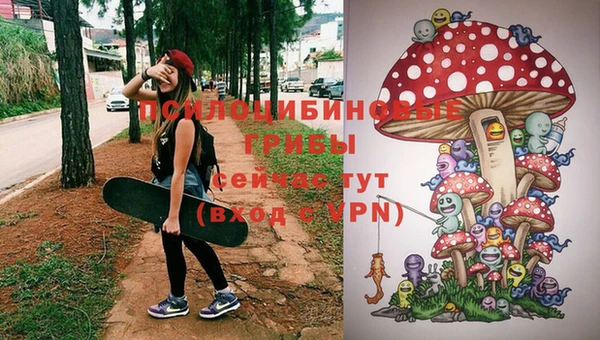 дмт Абдулино