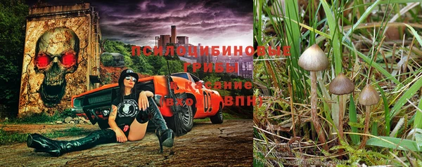 дмт Абдулино