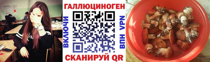 Галлюциногенные грибы ЛСД  Каргополь 
